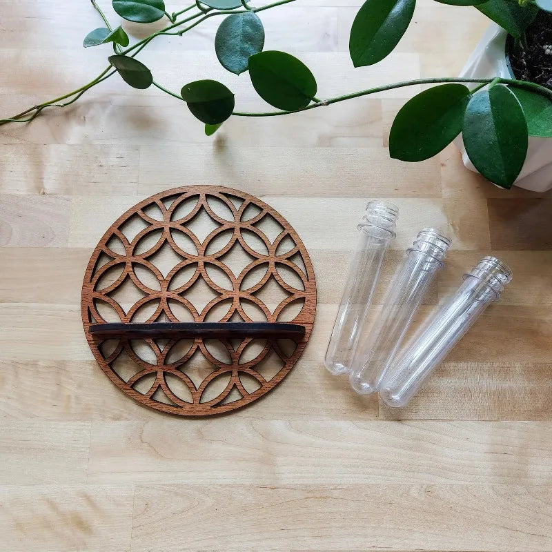 Plant Propagation Station Plant Terrarium with Glass Vertical Plant Display Stand for Garden Office Decoration Boho Wall Decor