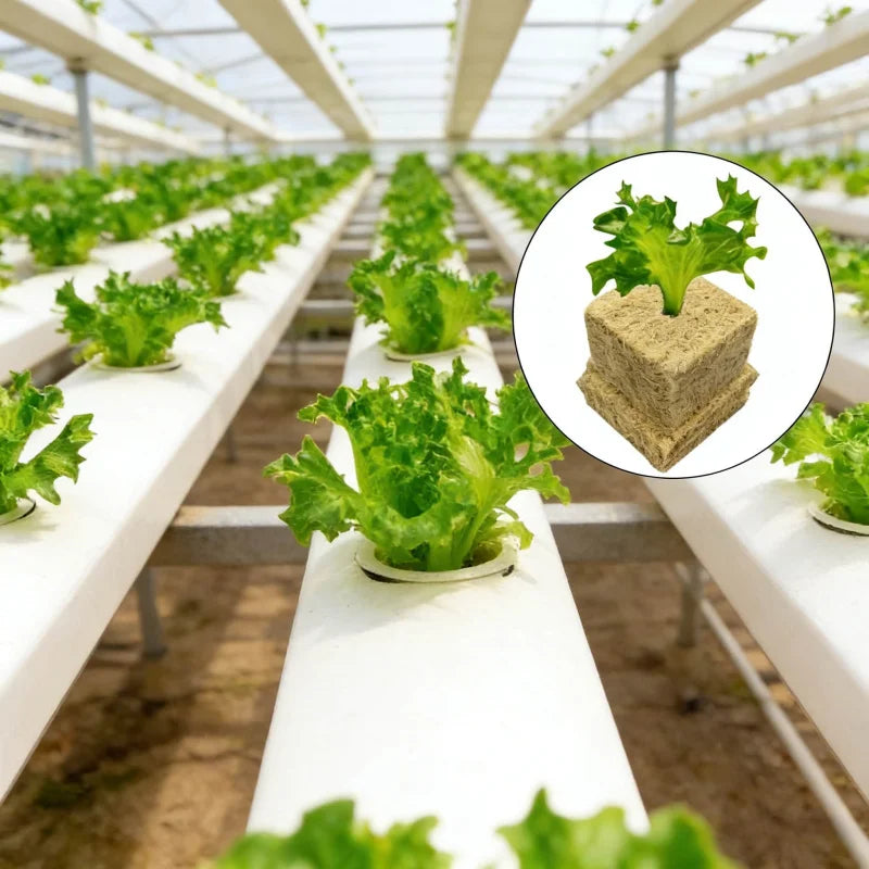 25x25x25mmSoilless Cultivation Seedling Pot Hydroponic Rockwool Plant Seed Germination Special Seedling Block50-100pcs