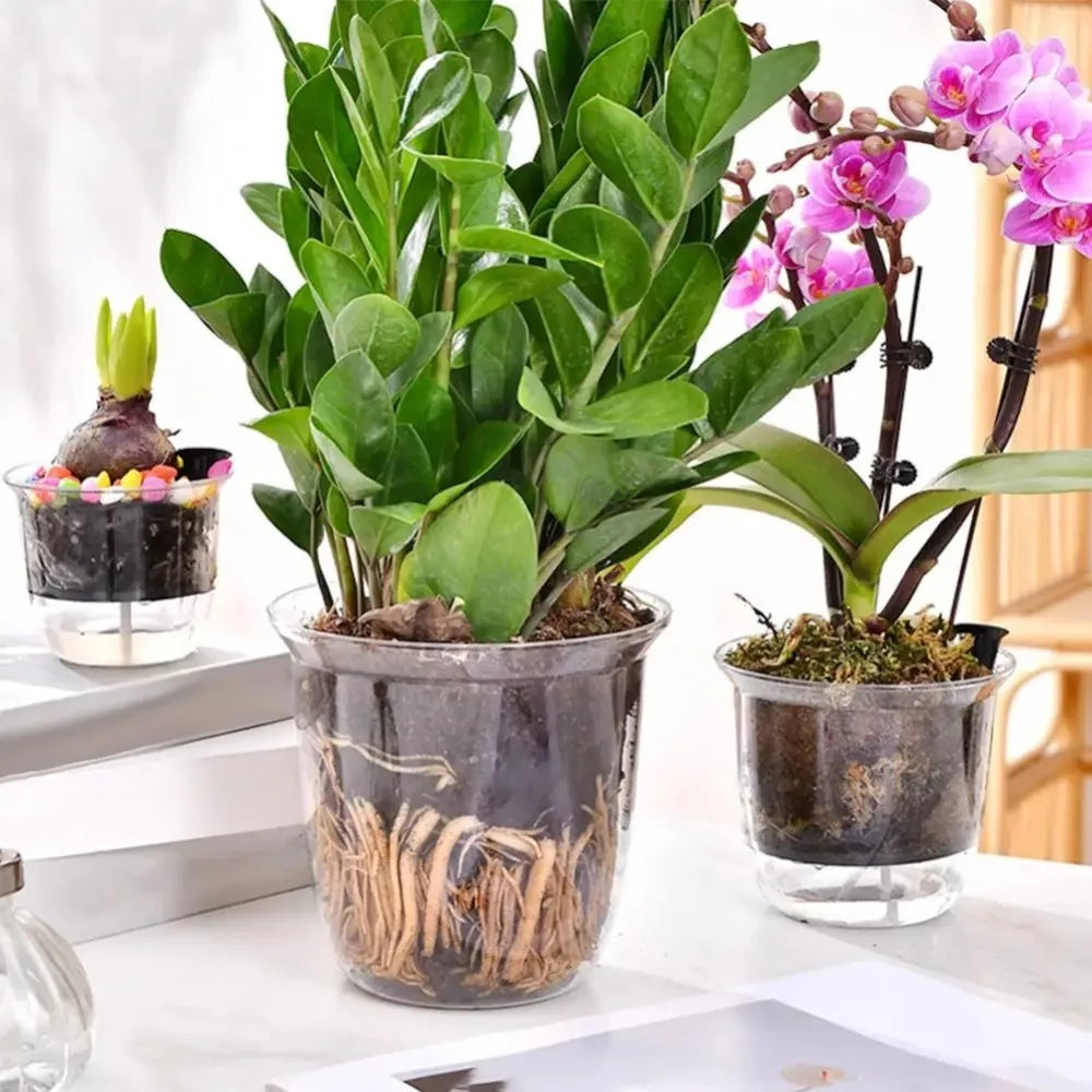 1pcs Transparent Self Watering Plant Pot Double Layer Plastic Flowerpot Automatic Water Absorption Self Watering Planter Pot