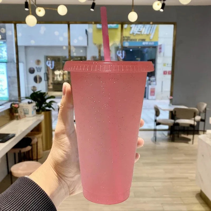 Reusable Hard Plastic Cold Drink Cups Set
