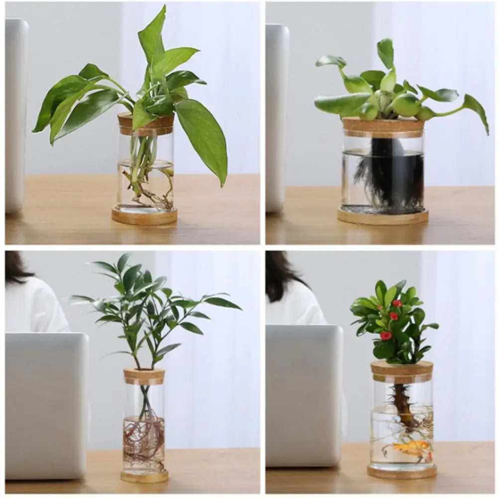 Transparent Hydroponic Flower Pot Green Plant Creative Mini Terrarium Potted Soilless Home Glass Vase