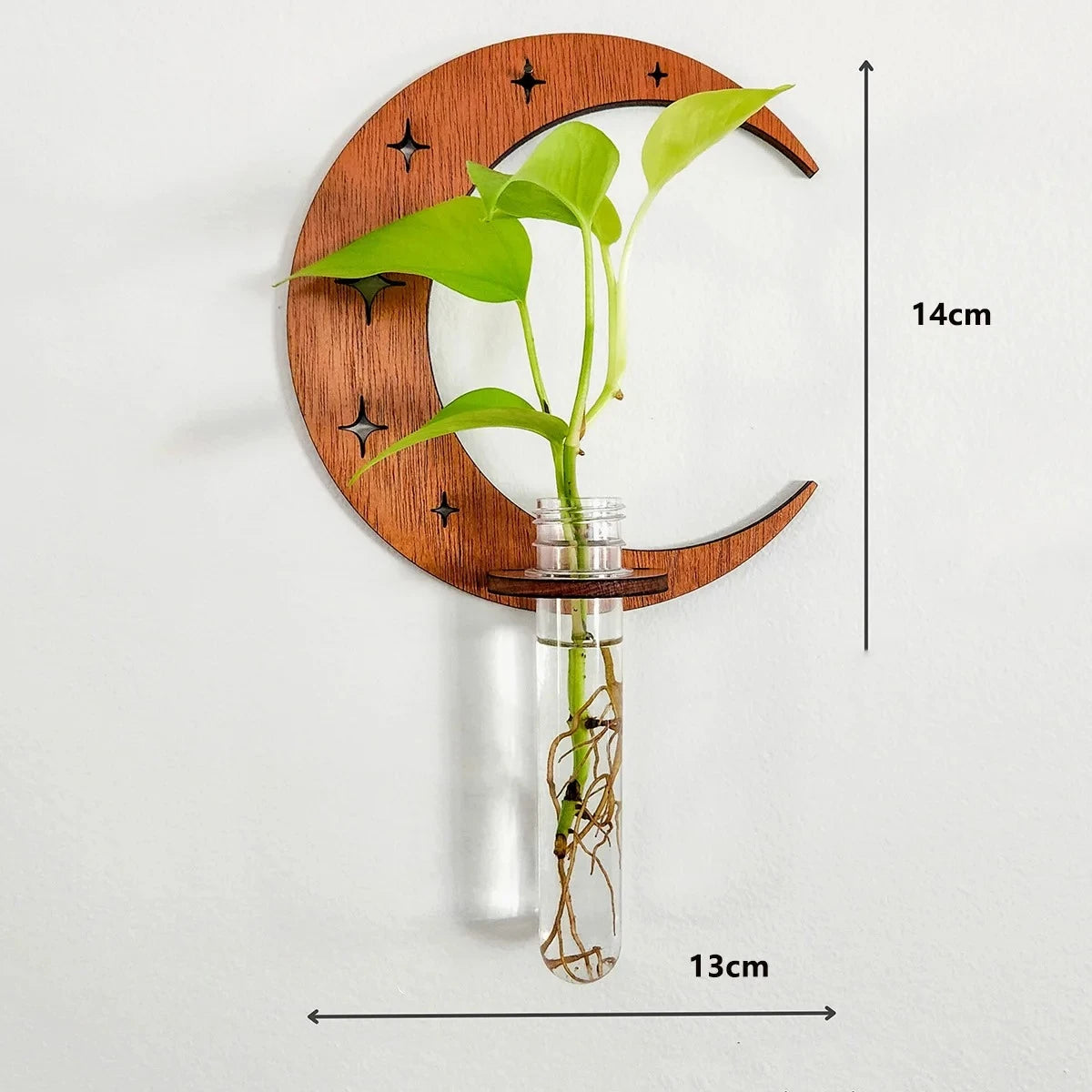 Plant Propagation Station Plant Terrarium with Glass Vertical Plant Display Stand for Garden Office Decoration Boho Wall Decor