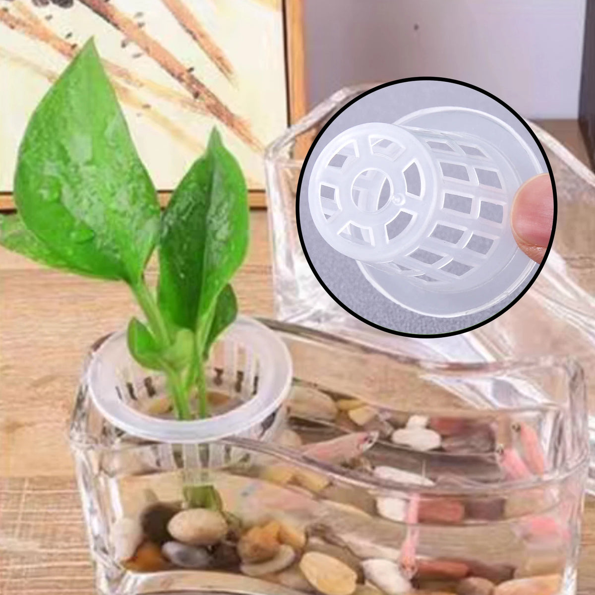 20/50Pcs Hydroponic Planting Basket Soilless Cultivation Net Pots Plant Vegetable Growing Nursery Cup Sponge Fixator Container