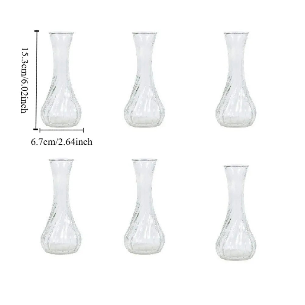 6PCS Mini Glass Vases – Rustic Transparent Flower Decor Set