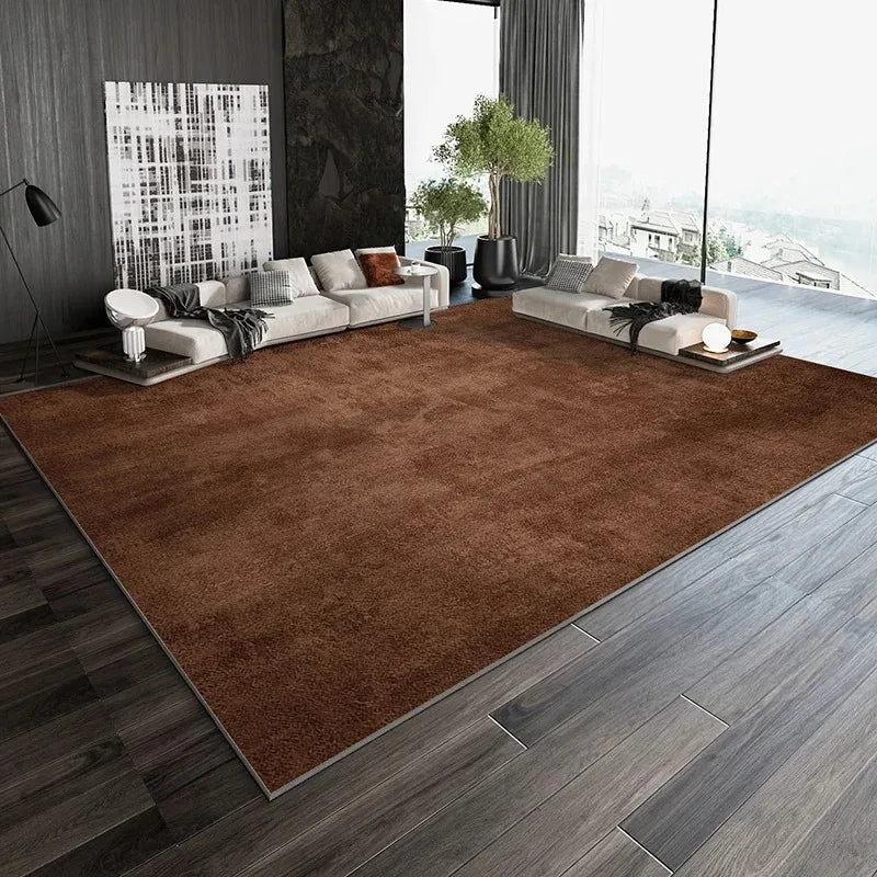 Nordic Living Room Large Area Carpets Home Decoration Bedroom Bed Blanket Casual Rugs Sofa Tea Table Carpet Area Carpet