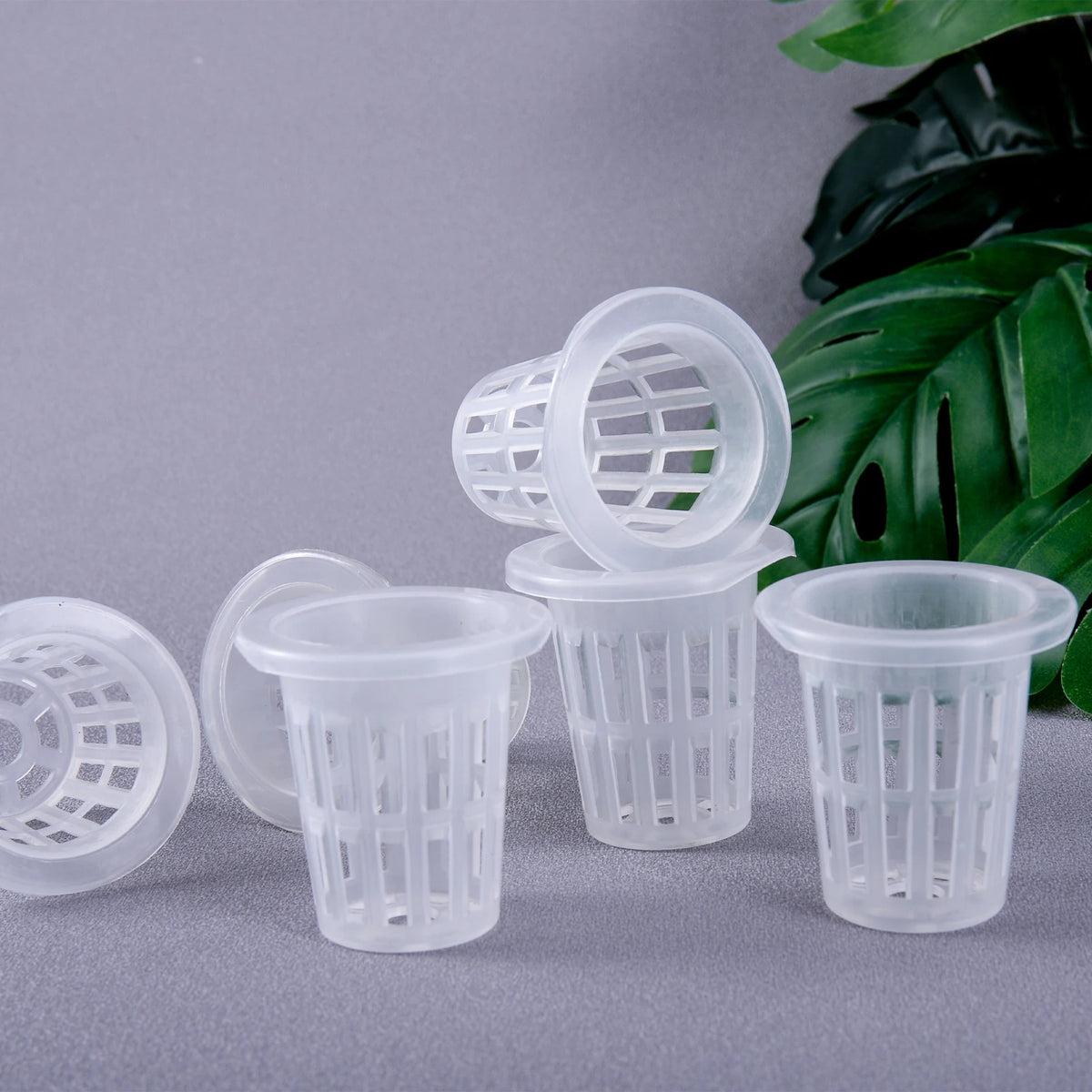 20/50Pcs Hydroponic Planting Basket Soilless Cultivation Net Pots Plant Vegetable Growing Nursery Cup Sponge Fixator Container