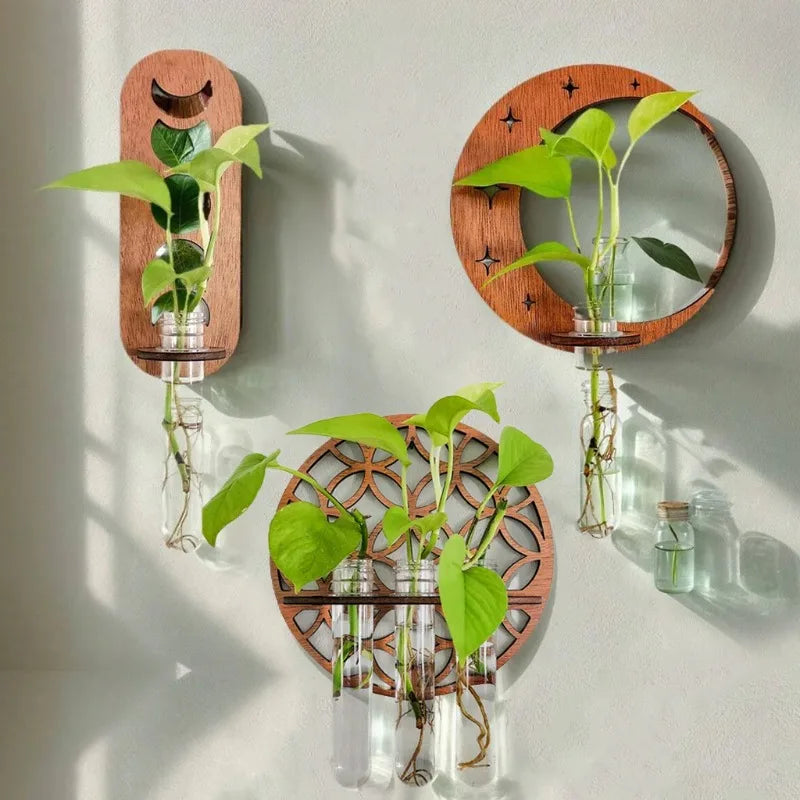 Plant Propagation Station Plant Terrarium with Glass Vertical Plant Display Stand for Garden Office Decoration Boho Wall Decor