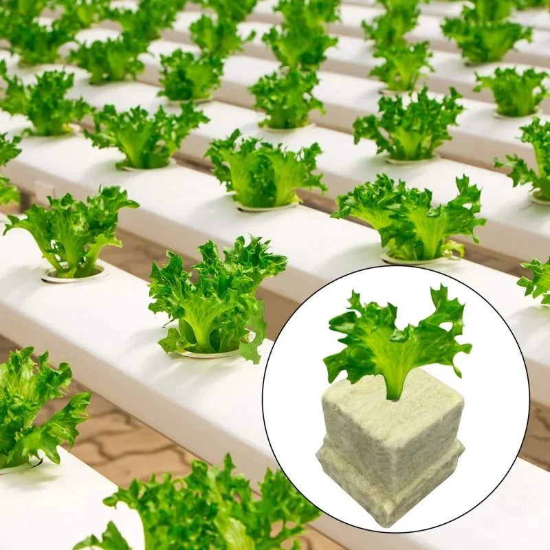 25x25x25mmSoilless Cultivation Seedling Pot Hydroponic Rockwool Plant Seed Germination Special Seedling Block50-100pcs