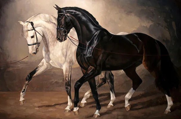 Modern Black and White Horse Canvas Art Paintings Animal Poster Wall Art for Living Room Home Decor Stylish Prints
