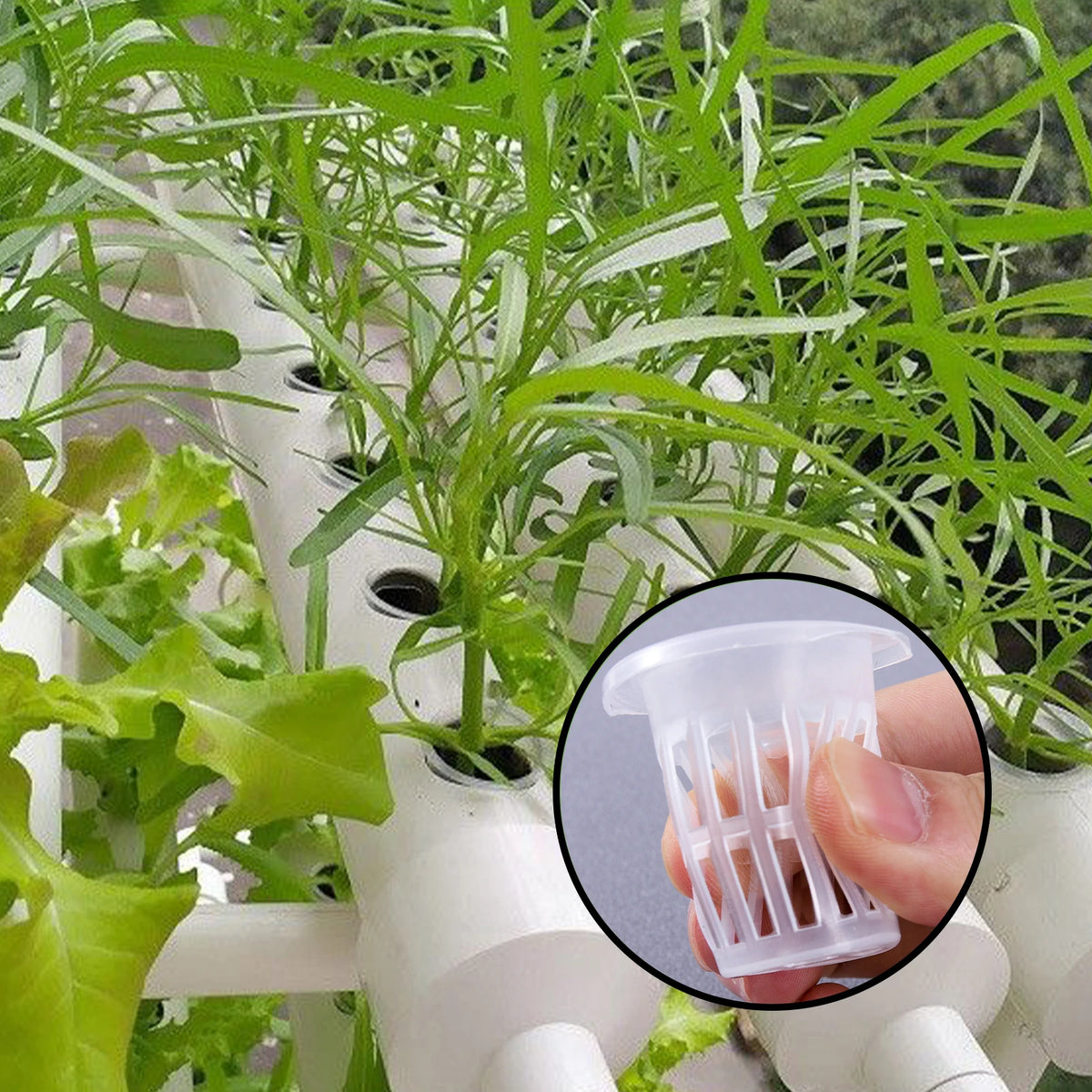 20/50Pcs Hydroponic Planting Basket Soilless Cultivation Net Pots Plant Vegetable Growing Nursery Cup Sponge Fixator Container