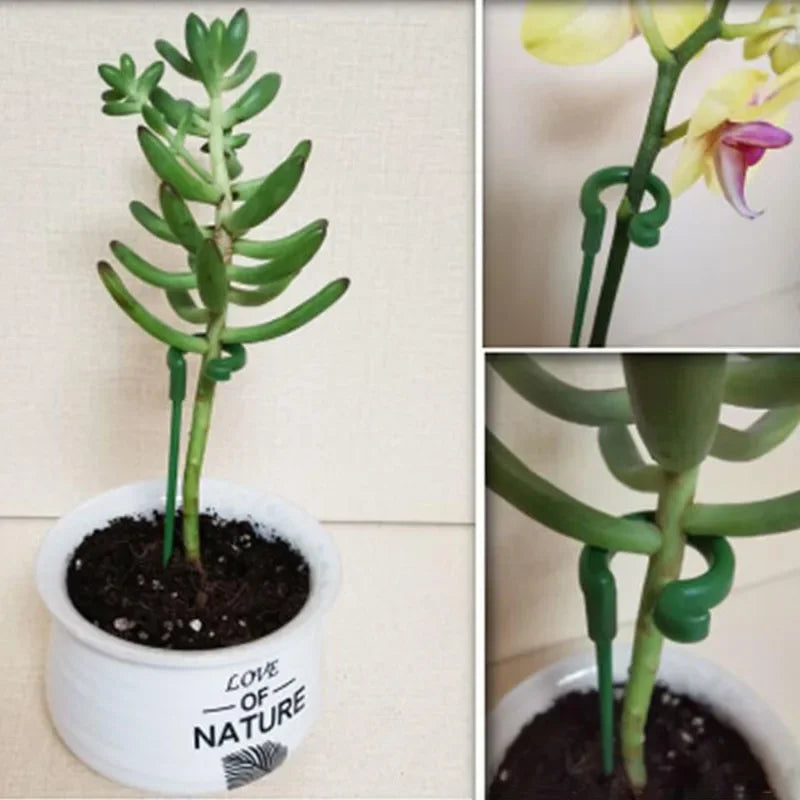 10pcs Gardening tools Plant potted flower fixed anti fall frame Shape support rod Reusable plant scaffold Bonsai fixing tool
