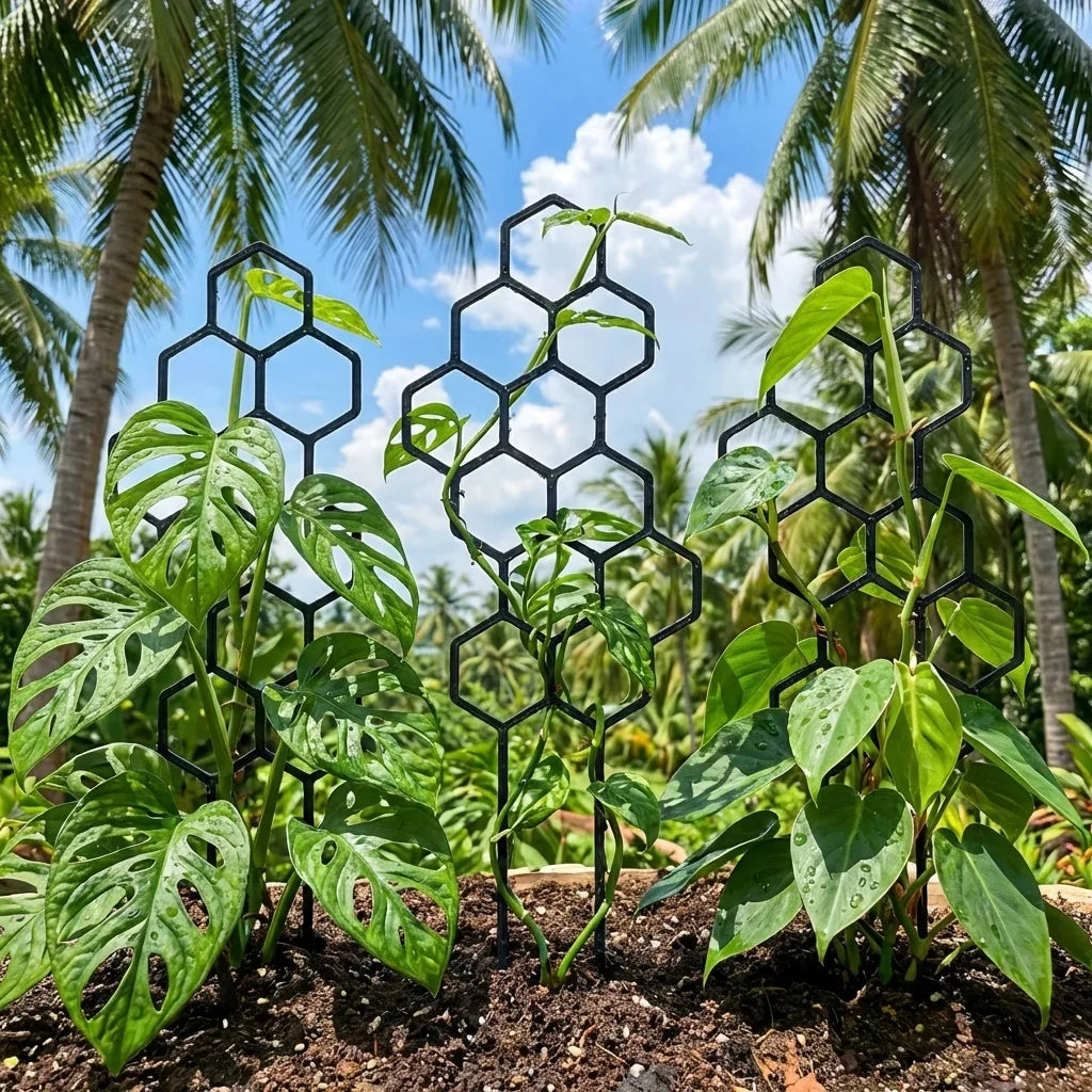 2pcs Plant Support Frame Climbing Frame Honeycomb Grid Frame Plant Shape Fixed Garden Decoration Indoor and Outdoor Flower Pots