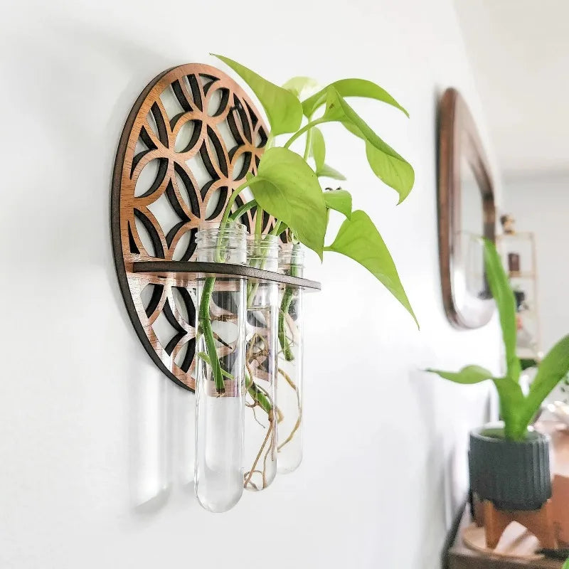 Plant Propagation Station Plant Terrarium with Glass Vertical Plant Display Stand for Garden Office Decoration Boho Wall Decor
