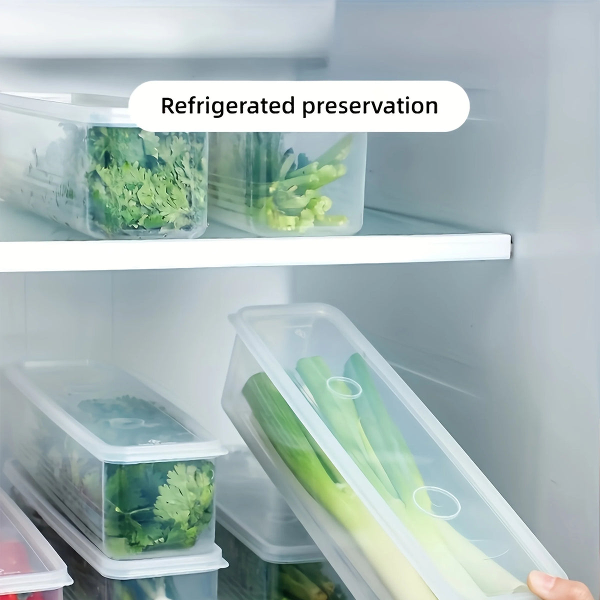 2/4pcs Long Rectangular Food Storage Containers, Plastic Reusable Refrigerator Organizer Boxes for Herbs, Vegetables