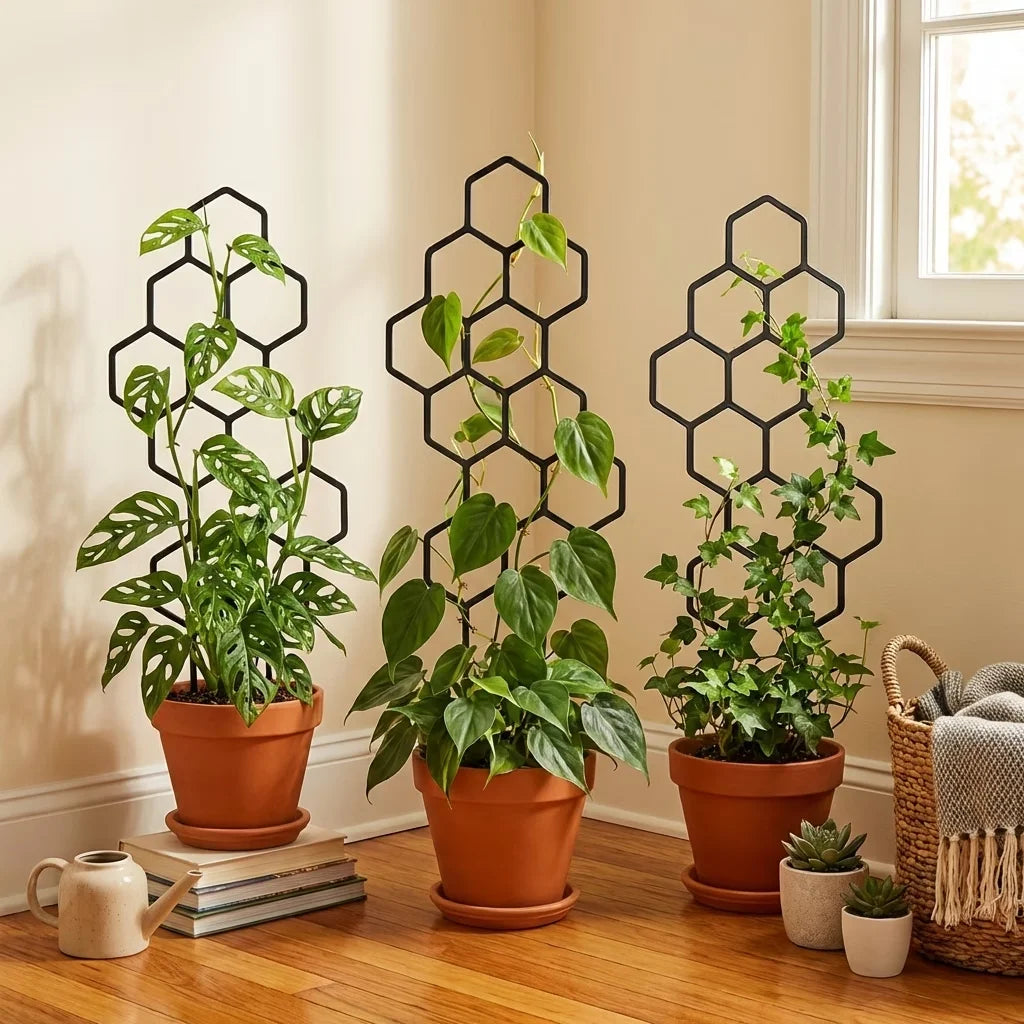 2pcs Plant Support Frame Climbing Frame Honeycomb Grid Frame Plant Shape Fixed Garden Decoration Indoor and Outdoor Flower Pots