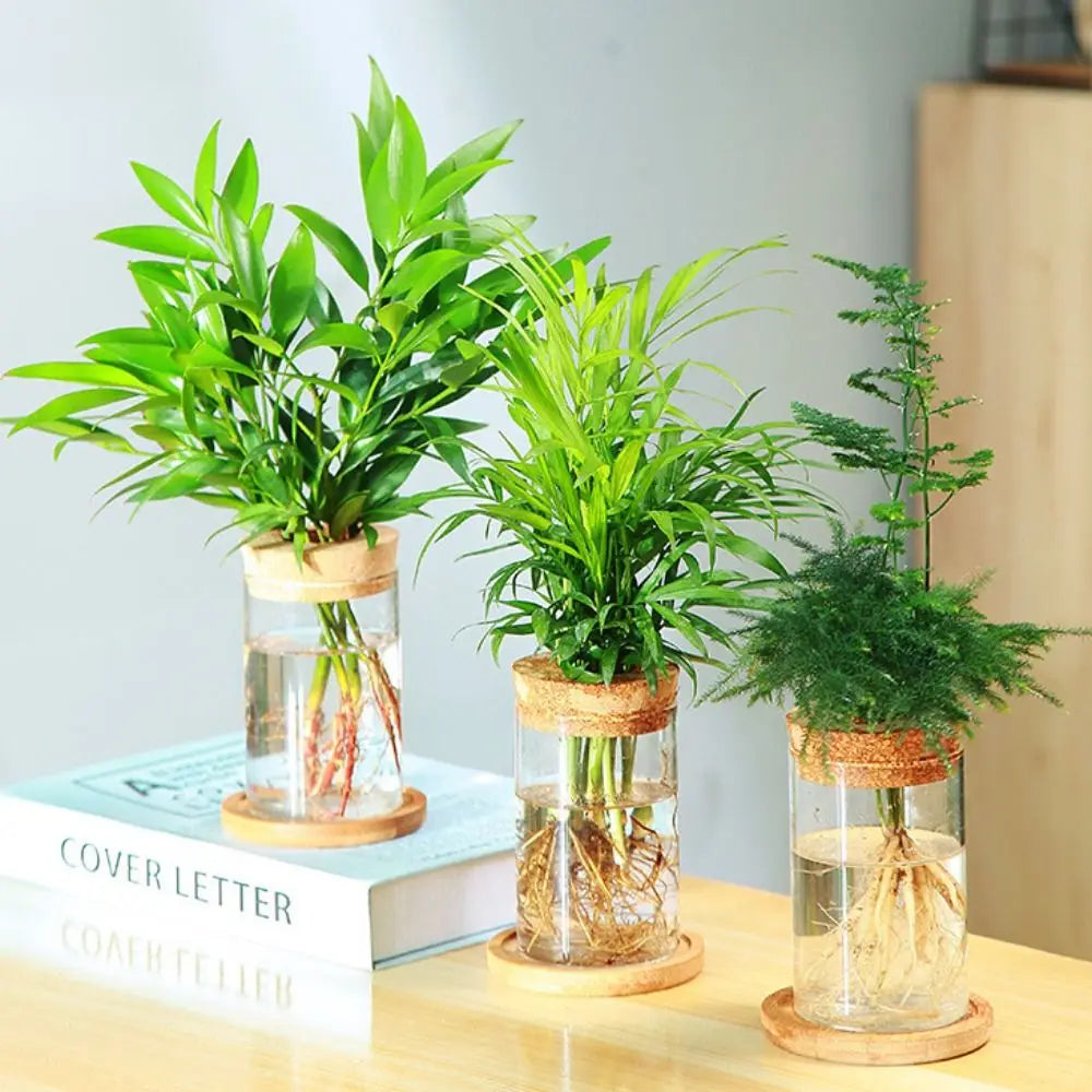 Transparent Hydroponic Flower Pot Green Plant Creative Mini Terrarium Potted Soilless Home Glass Vase