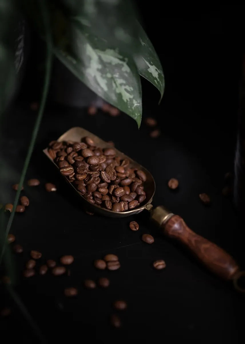 Coffee Cup And Beans Photograph Posters Delicious Coffee Latte Breakfast Prints Canvas Painting Wall Art Picture Home Room Decor