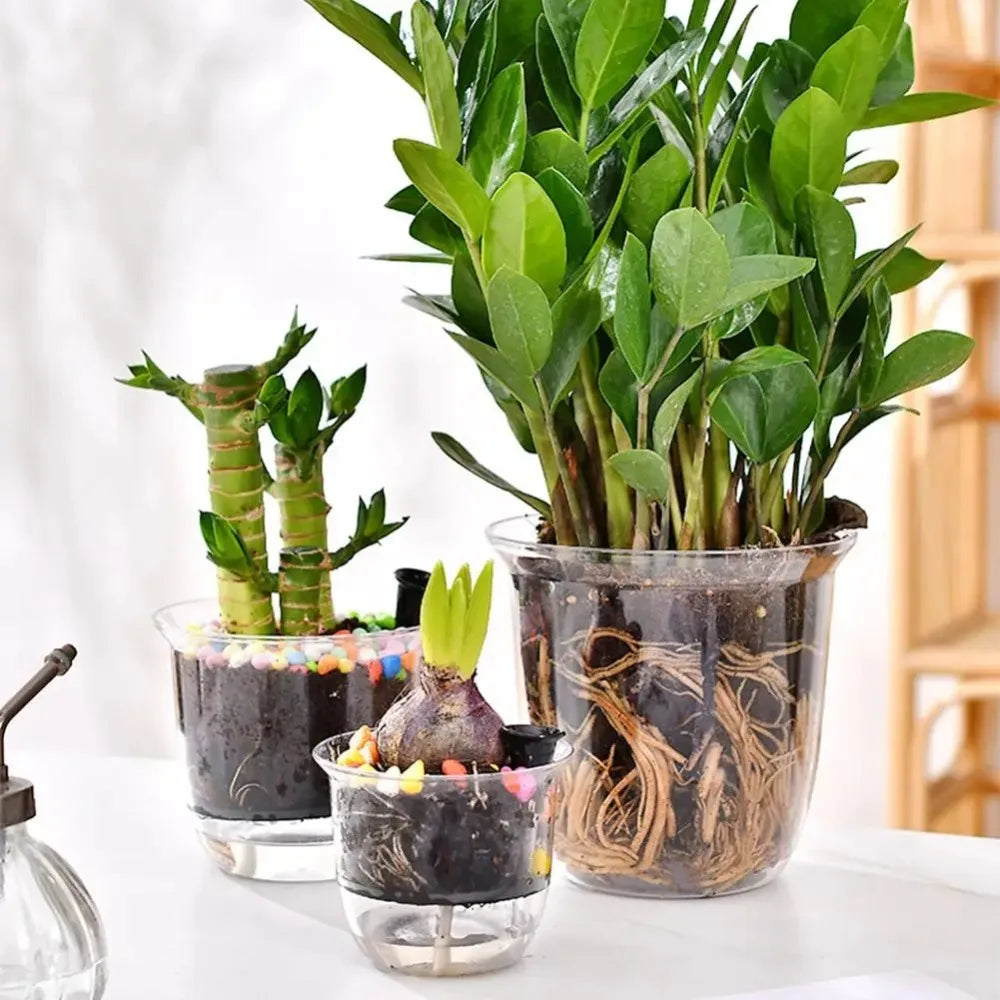 1pcs Transparent Self Watering Plant Pot Double Layer Plastic Flowerpot Automatic Water Absorption Self Watering Planter Pot
