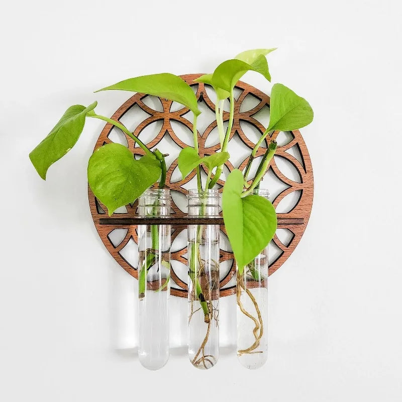 Plant Propagation Station Plant Terrarium with Glass Vertical Plant Display Stand for Garden Office Decoration Boho Wall Decor