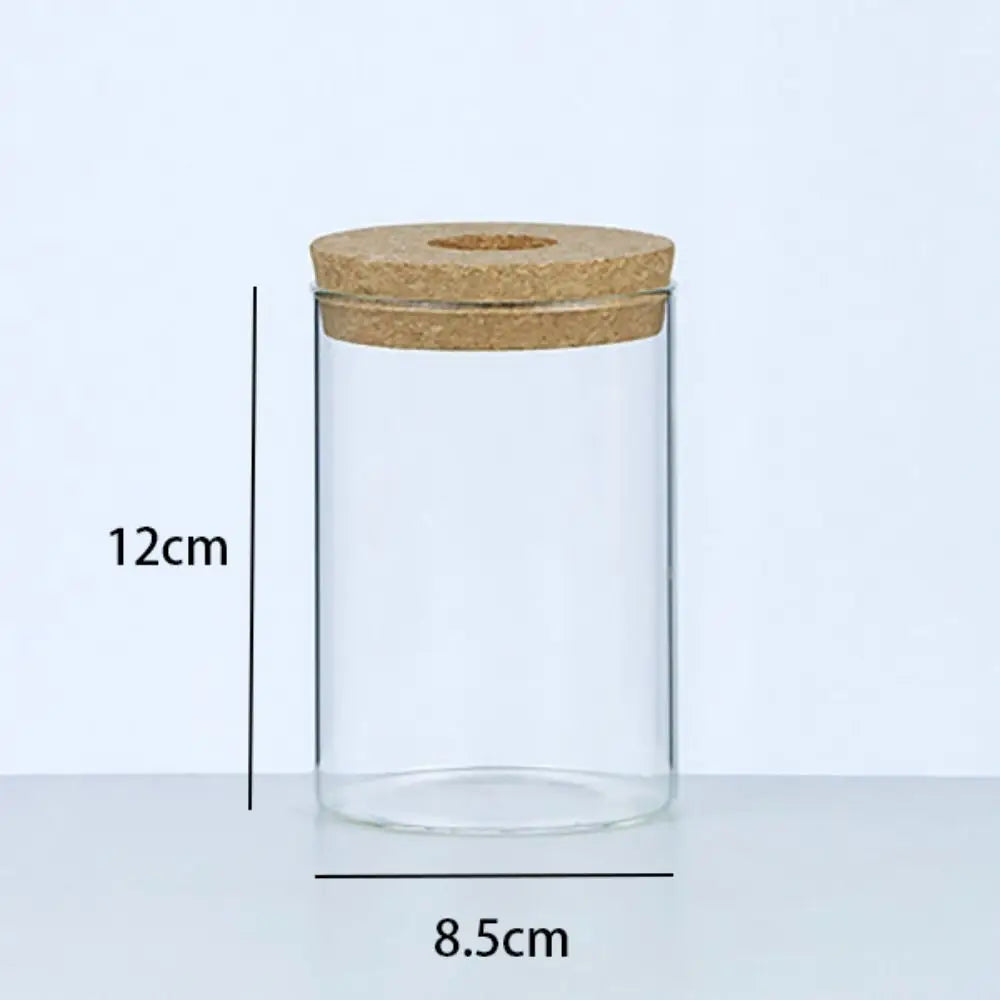 Transparent Hydroponic Flower Pot Green Plant Creative Mini Terrarium Potted Soilless Home Glass Vase