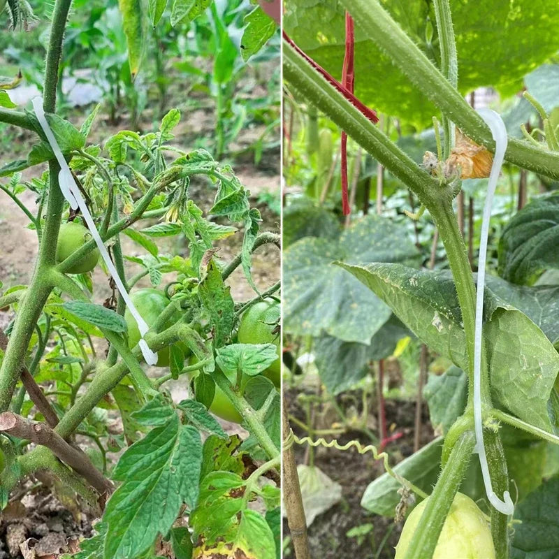 13/16CM Tomato Support J Hooks Plant Support Vegetable Clips To Prevent Tomatoes Fruit Cluster From Pinching or Falling Off