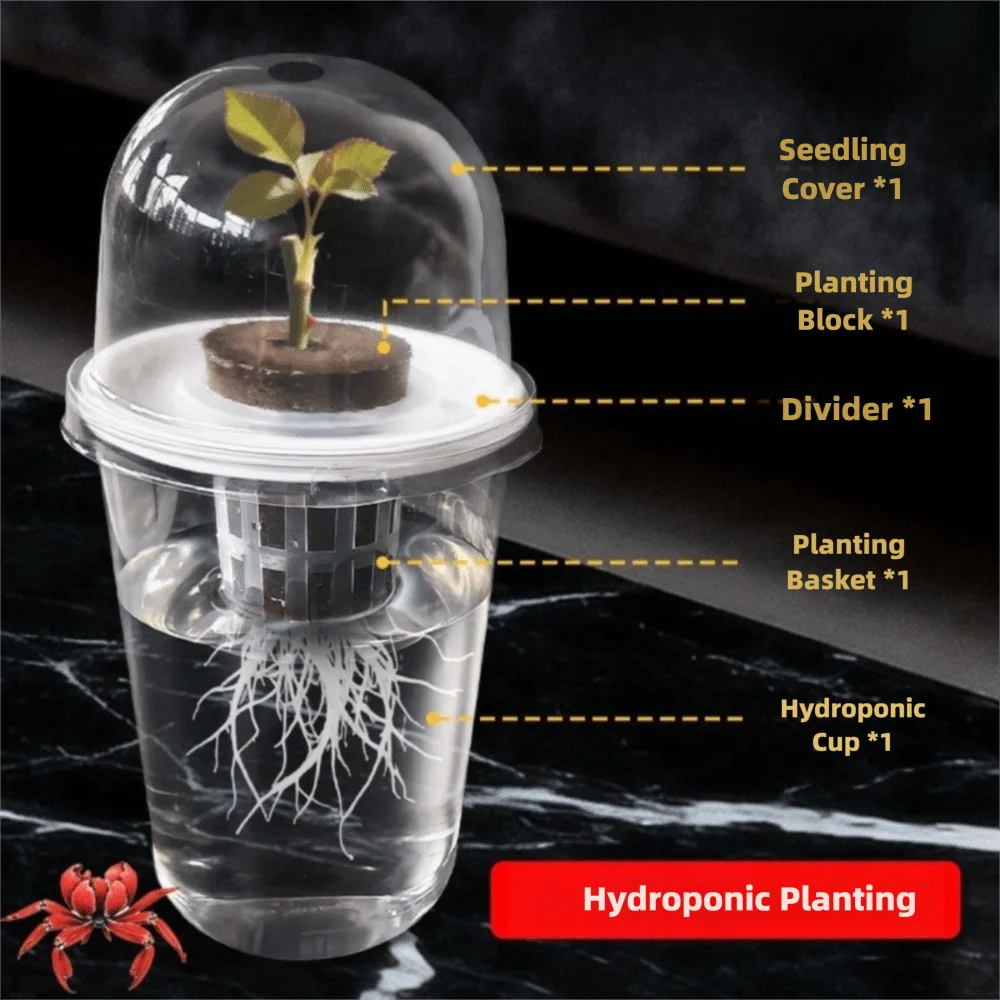 1-5pc Visible Clear Plants Germination Cup Hydroponic Seed Planter Pots Reusable Durable Seed Starter Tray Plastic View Cups