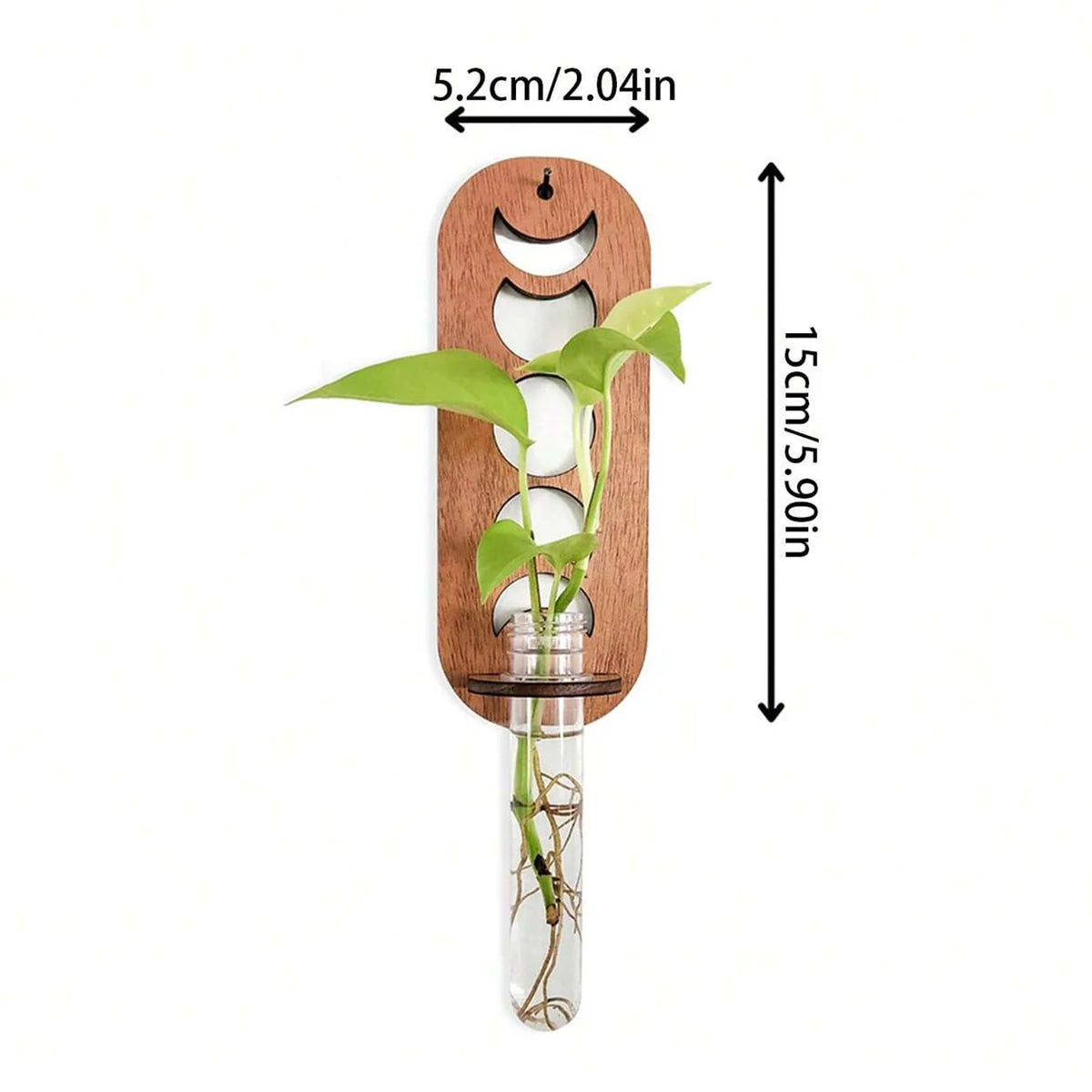 Plant Propagation Station Plant Terrarium with Glass Vertical Plant Display Stand for Garden Office Decoration Boho Wall Decor