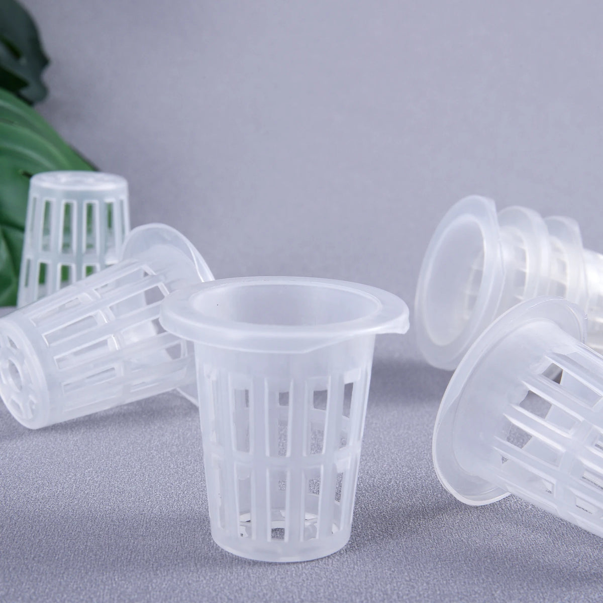 20/50Pcs Hydroponic Planting Basket Soilless Cultivation Net Pots Plant Vegetable Growing Nursery Cup Sponge Fixator Container