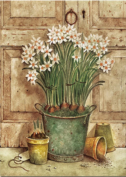 Vintage European Botanical Wall Art Prints 🌿🖼️