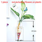 Hanging Hydroponic Glass Vase – Modern Wall-Mounted Plant Decor