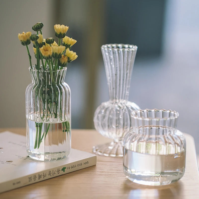 Transparent Glass Vase – Retro Striped Hydroponic Flower Decor