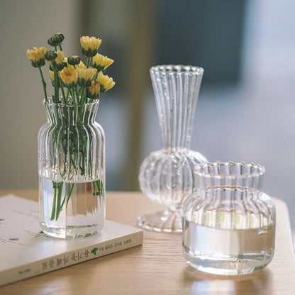 Transparent Glass Vase – Retro Striped Hydroponic Flower Decor