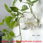 Hanging Hydroponic Glass Vase – Modern Wall-Mounted Plant Decor