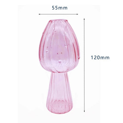 Mushroom Shaped Glass Vase – Hydroponic Plant & Home Decor