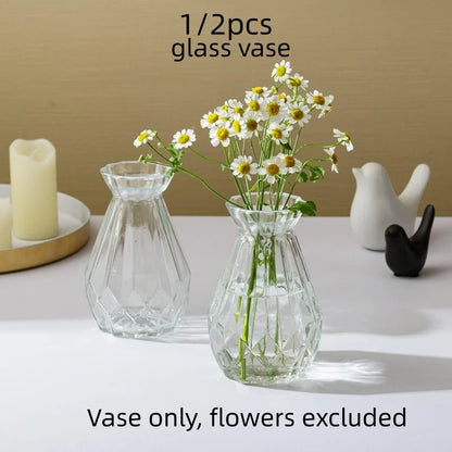 Minimalist Clear Glass Vase – Small Hydroponic Flower Vase for Home Décor