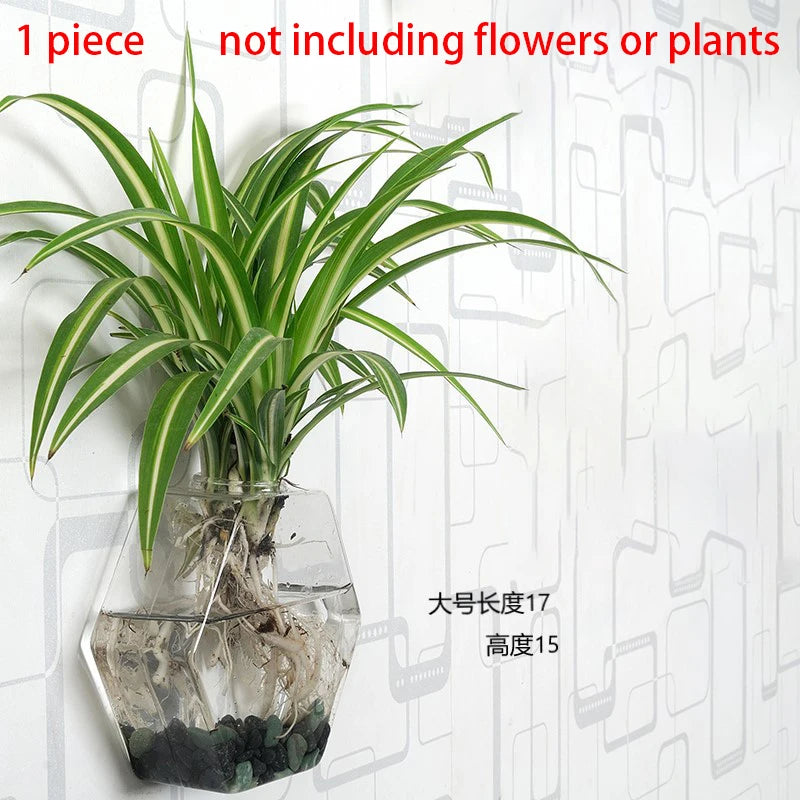 Hanging Hydroponic Glass Vase – Modern Wall-Mounted Plant Decor