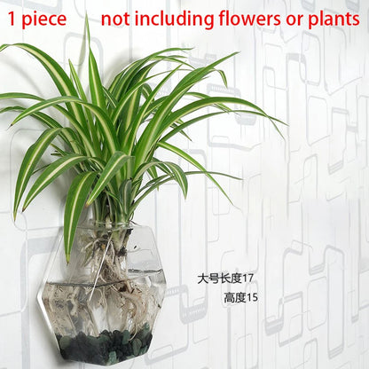 Hanging Hydroponic Glass Vase – Modern Wall-Mounted Plant Decor