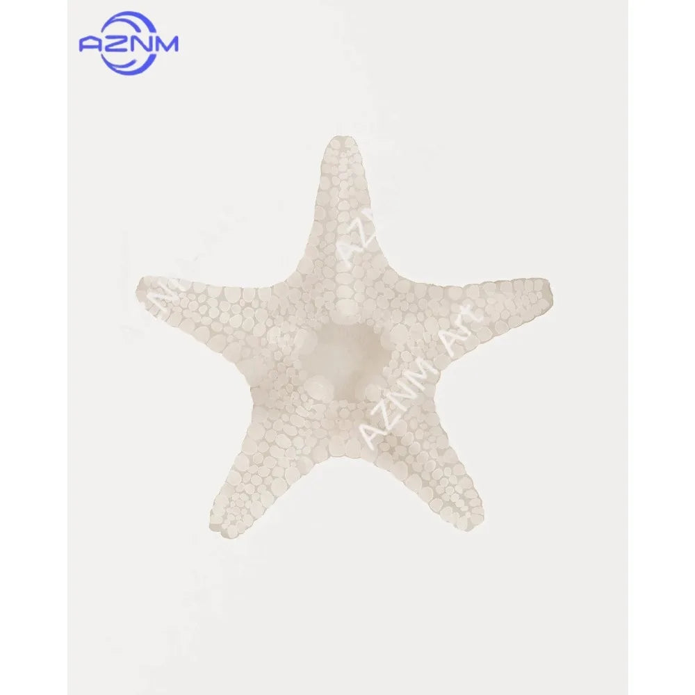 Modern Blue Coastal Shells and Starfish Canvas Poster Set