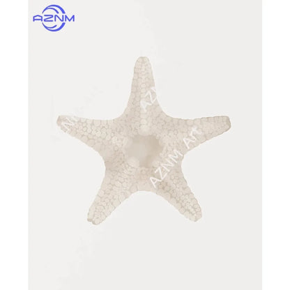 Modern Blue Coastal Shells and Starfish Canvas Poster Set