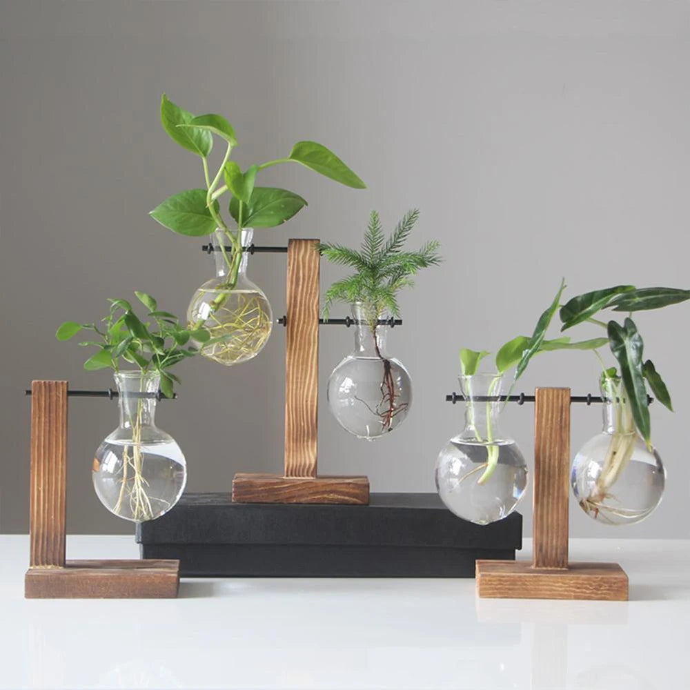 Hydroponic Glass Terrarium Vase – Desktop Plant Decor