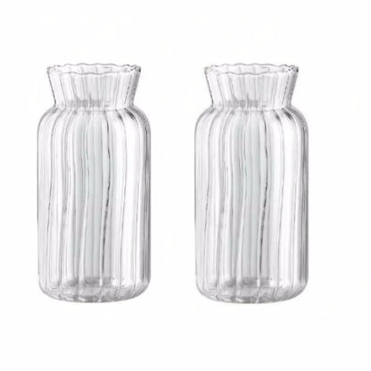Transparent Glass Vase – Retro Striped Hydroponic Flower Decor