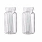 Transparent Glass Vase – Retro Striped Hydroponic Flower Decor