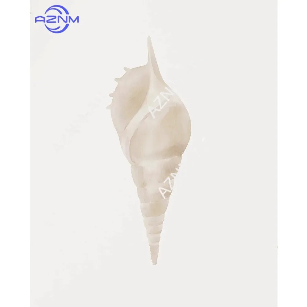 Modern Blue Coastal Shells and Starfish Canvas Poster Set
