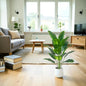Artificial Tropical Palm Plant – Realistic Faux Banana Leaves Decor
