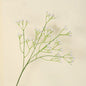 63cm Premium Artificial Gypsophila Bouquet for DIY & Vases