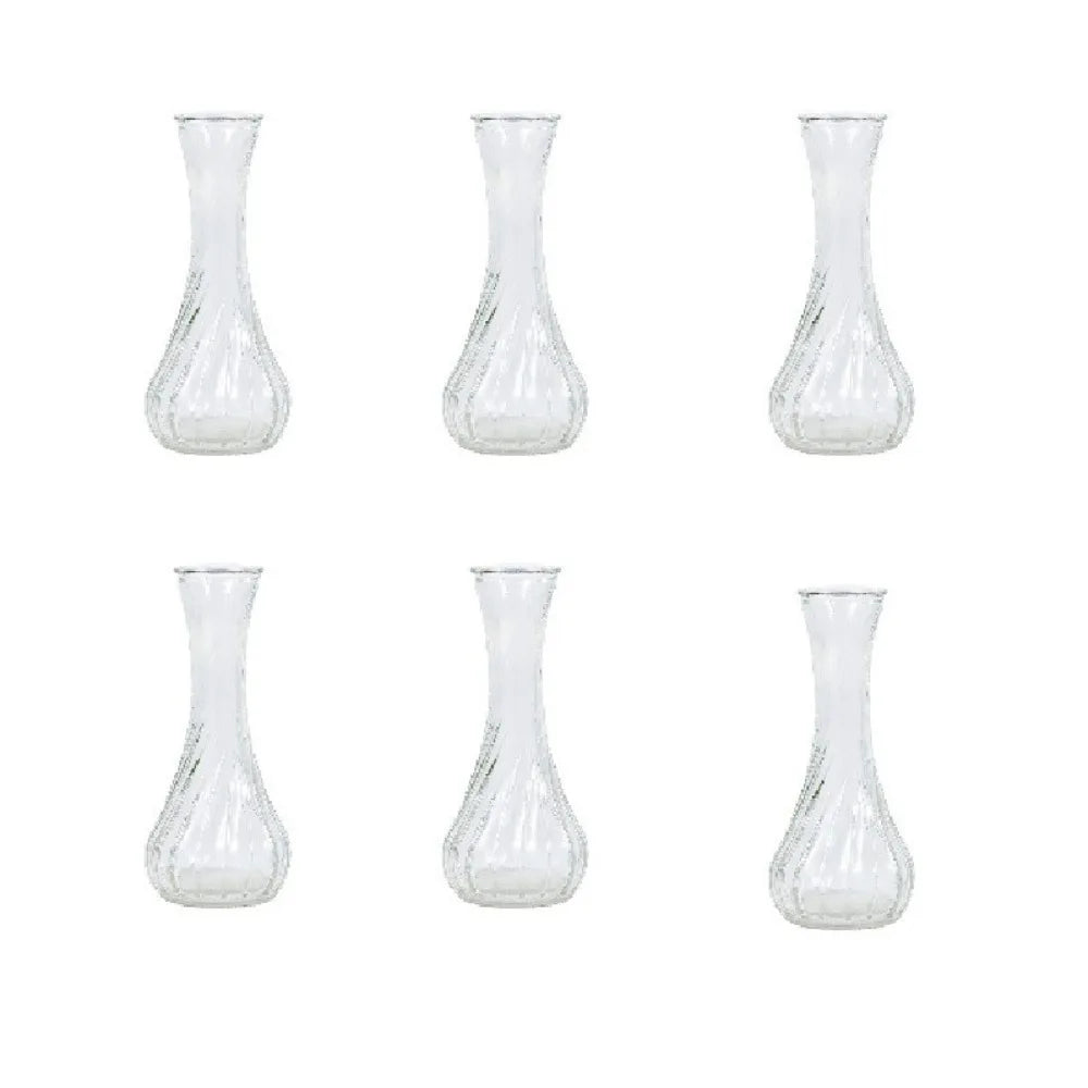 6PCS Mini Glass Vases – Rustic Transparent Flower Decor Set