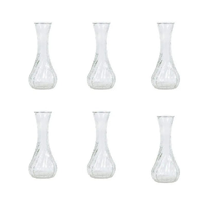 6PCS Mini Glass Vases – Rustic Transparent Flower Decor Set