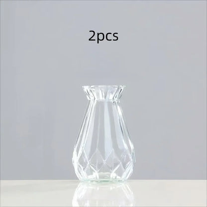 Minimalist Clear Glass Vase – Small Hydroponic Flower Vase for Home Décor