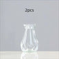 Minimalist Clear Glass Vase – Small Hydroponic Flower Vase for Home Décor