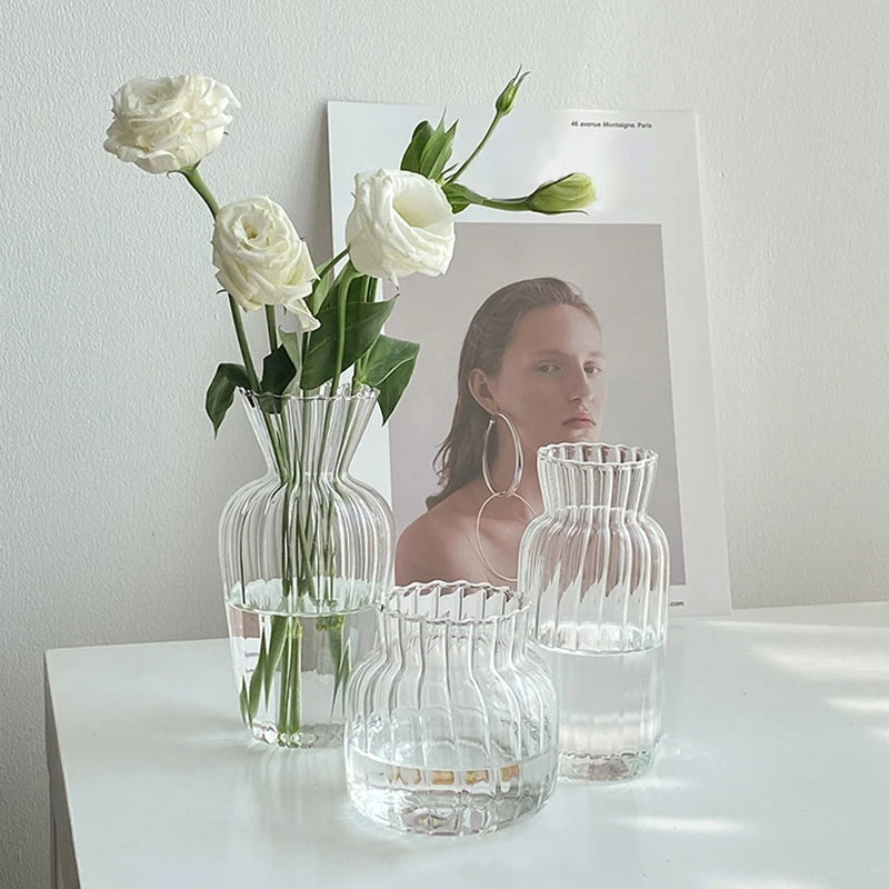 Transparent Glass Vase – Retro Striped Hydroponic Flower Decor